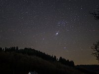 Am Asdorfer Weiher  Der Himmelsjäger Orion mit dem hellen Orionnebel senkt sich über den Weiher.