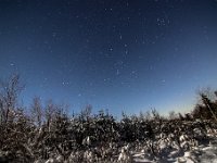 Winter am Jägerhain  Der Jägerhain liegt kurz oberhalb der Siegquelle bei Großenbach. Mittig am Himmel der Himmelsjäger Orion, links unterhalb der Sirius.